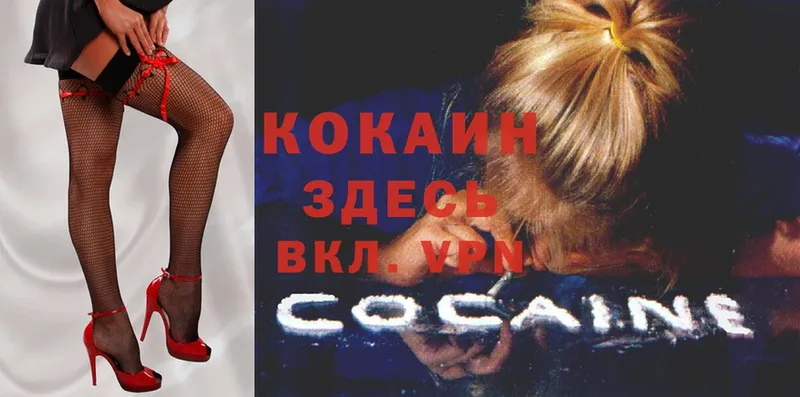 закладки  Калуга  COCAIN Columbia 